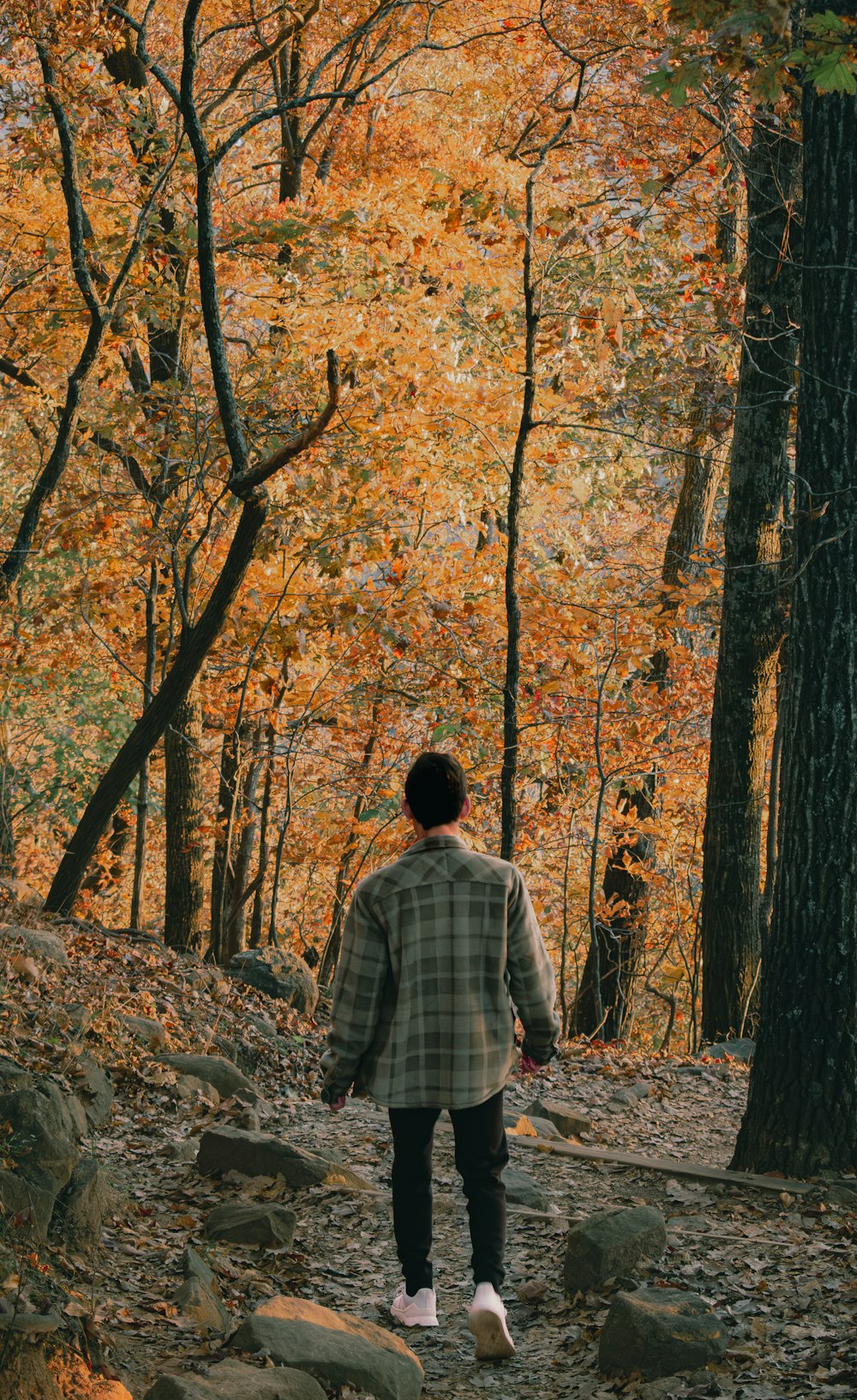 a man walking through a forest in the fall