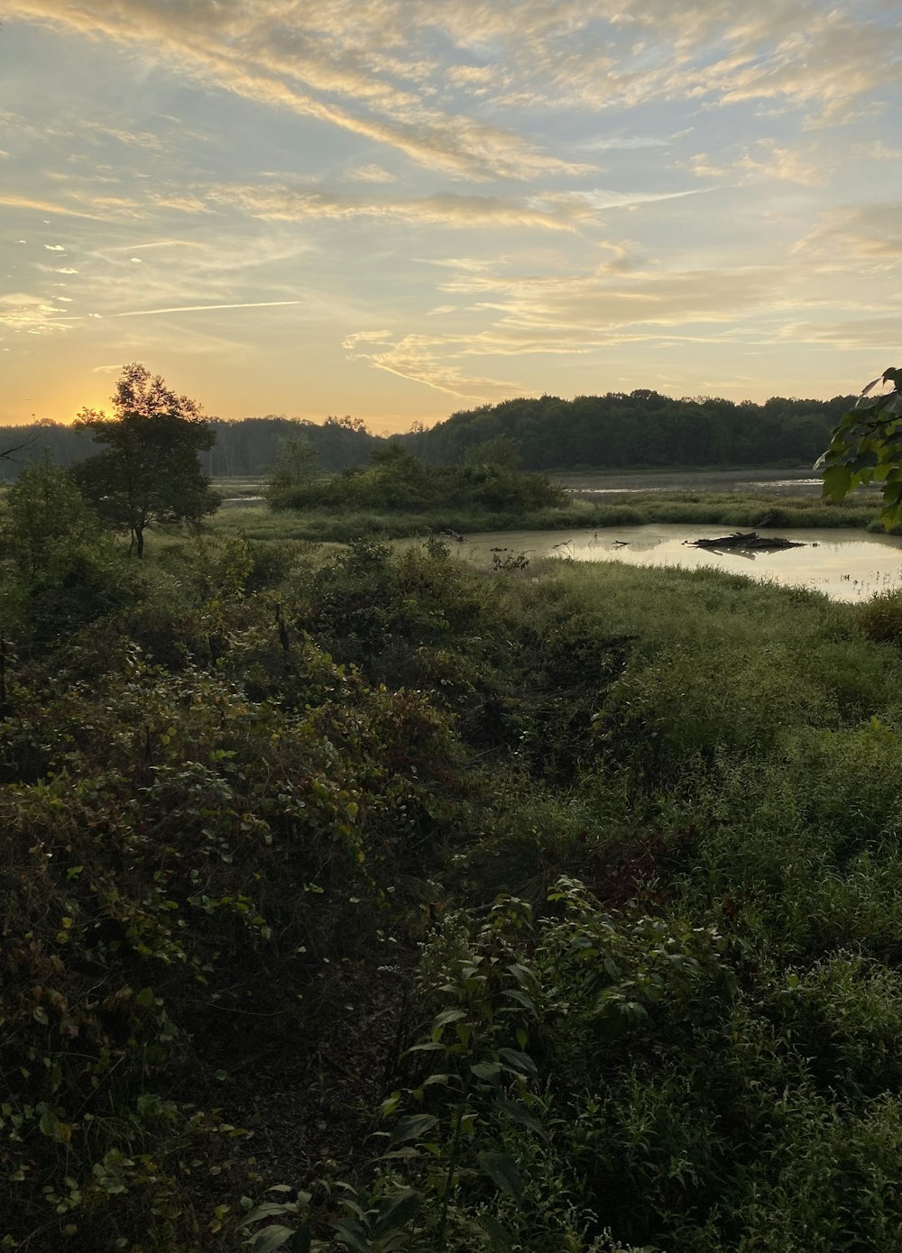 the sun is setting over a small lake