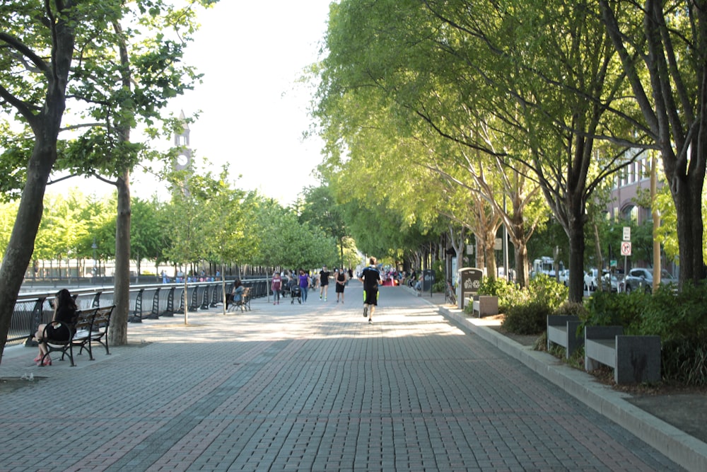 a person riding a bike down a street next to trees