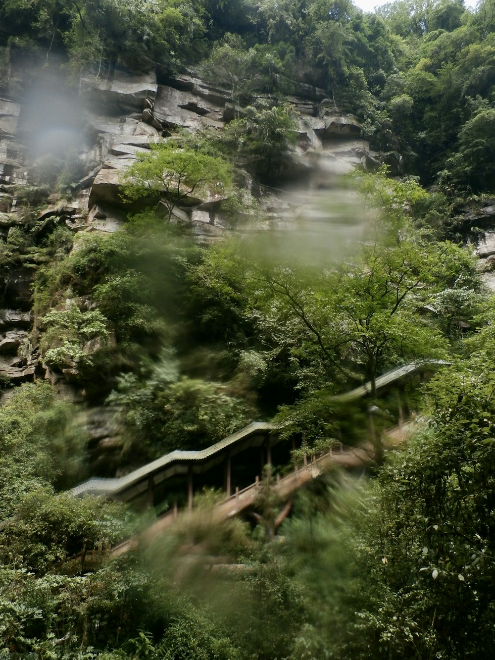 a scenic view of a waterfall in the woods