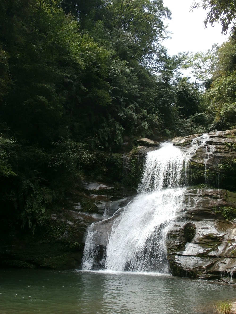 a small waterfall in the middle of a forest