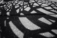 Intricate patterns of shadows are cast on a paved surface. The interplay of light and dark creates geometric shapes that dance across the textured ground, suggesting a complex structure above.
