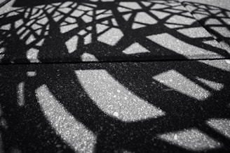 Intricate patterns of shadows are cast on a paved surface. The interplay of light and dark creates geometric shapes that dance across the textured ground, suggesting a complex structure above.