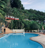 Serene outdoor pool area surrounded by lush greenery at sunset.