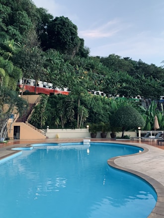 A sparkling clean swimming pool surrounded by lush greenery and a clear blue sky.