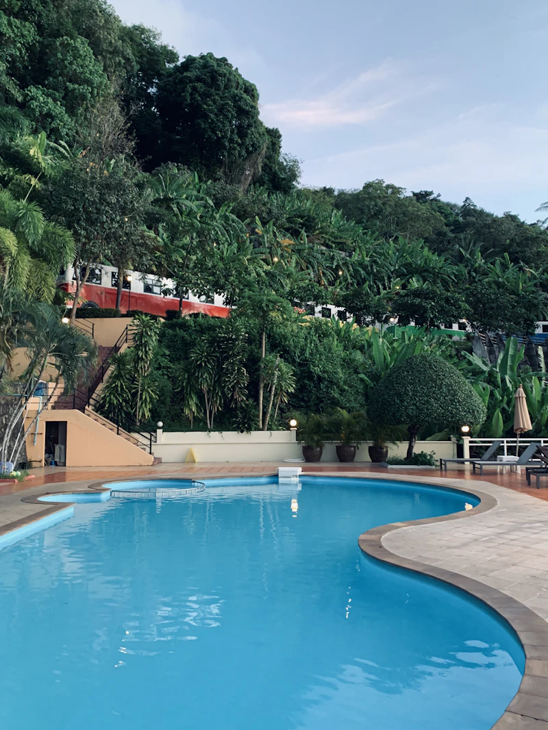 Resort swimming pool among palm trees
