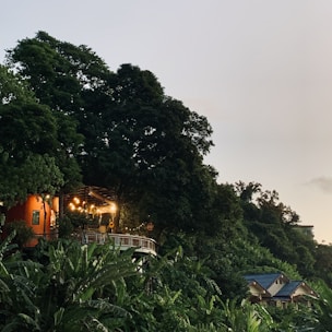 A scenic view of a house nestled among lush green trees with a visible terrace lighted by hanging bulbs. The house is partially covered by foliage, giving it a serene, secluded ambience. Additional houses with blue roofs can be seen in the distance, blending harmoniously with the natural environment.