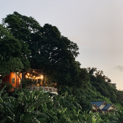 A scenic view of a house nestled among lush green trees with a visible terrace lighted by hanging bulbs. The house is partially covered by foliage, giving it a serene, secluded ambience. Additional houses with blue roofs can be seen in the distance, blending harmoniously with the natural environment.