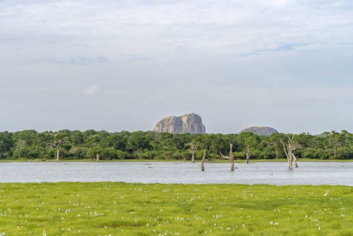 yala national park