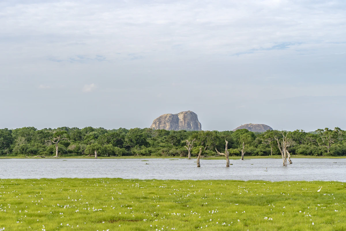 Lake and open landscape inside Yala National Park