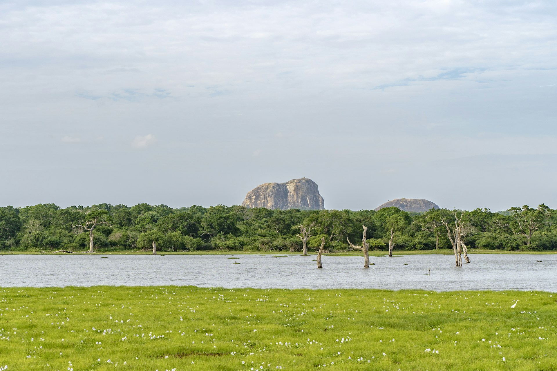a large body of water surrounded by lush green trees