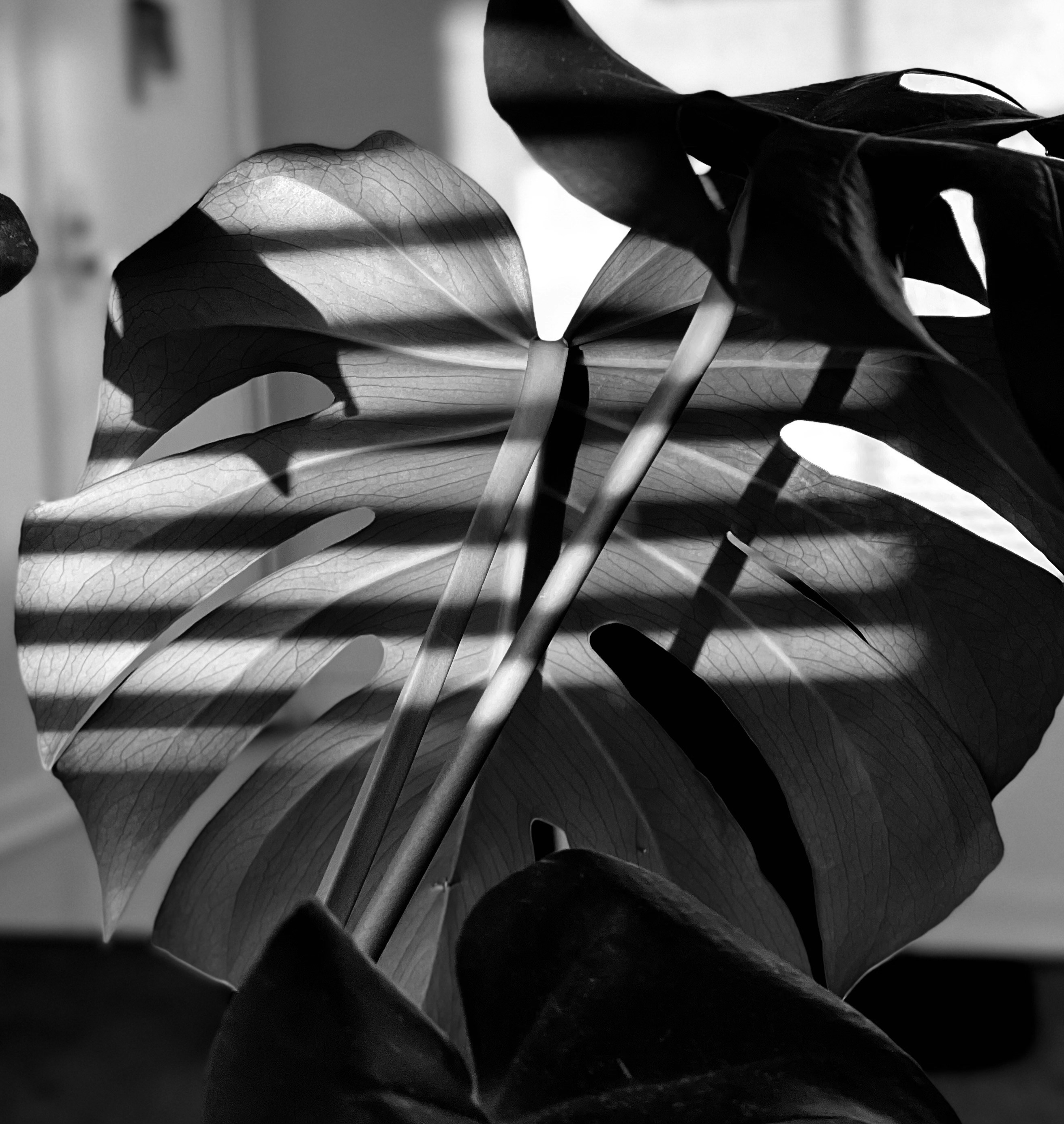 Q - 會 勇敢的做自己以往不敢做的事 然後慢慢的等待結束