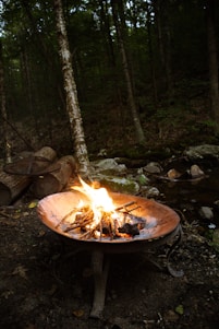 A metal fire pit sits in a forest setting with a small campfire burning brightly. The fire pit is surrounded by fallen leaves and sticks, with a background of dense trees and a small creek running alongside. Cut logs are stacked nearby, indicating a rustic, natural environment.