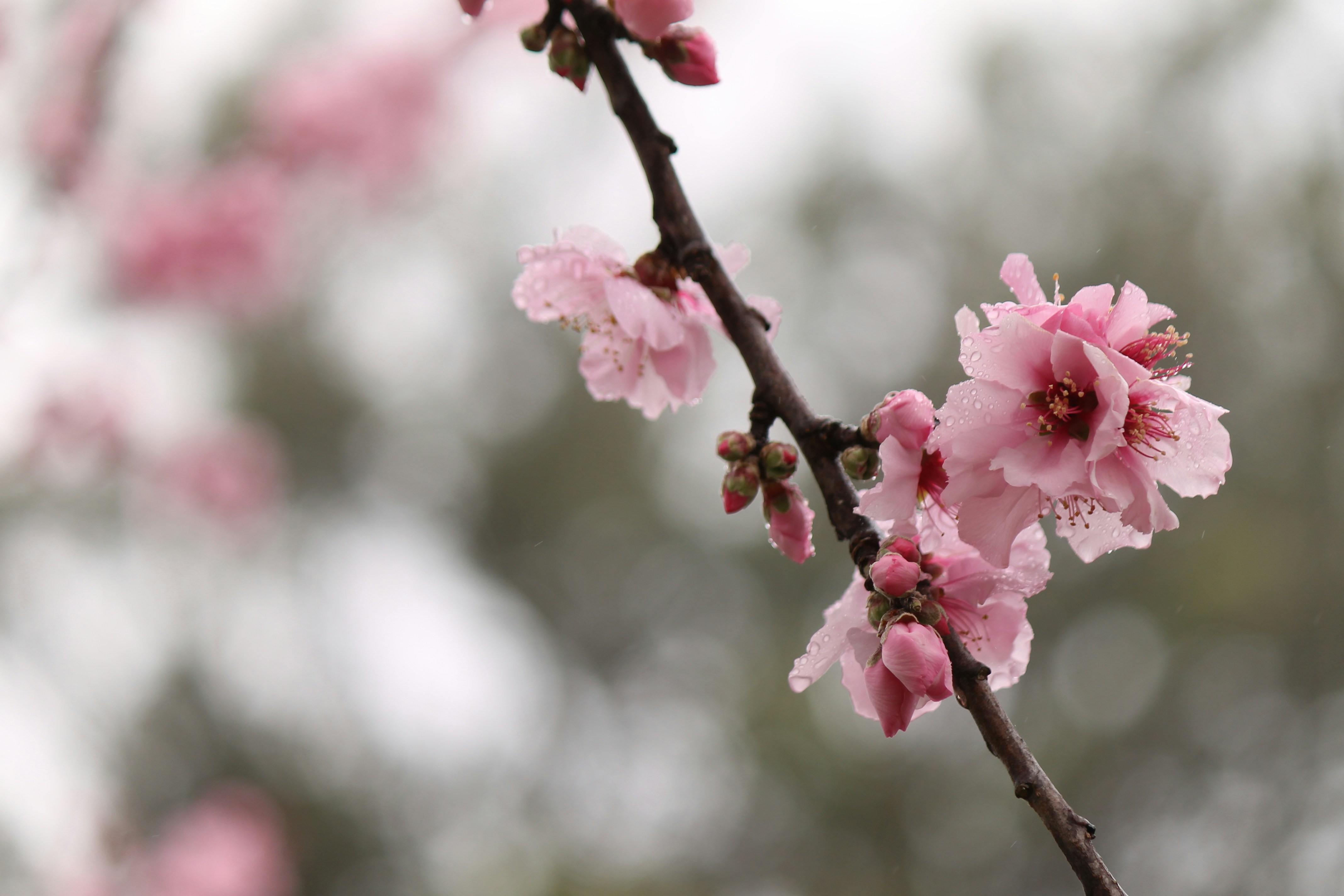 Photo by ellenartstudio