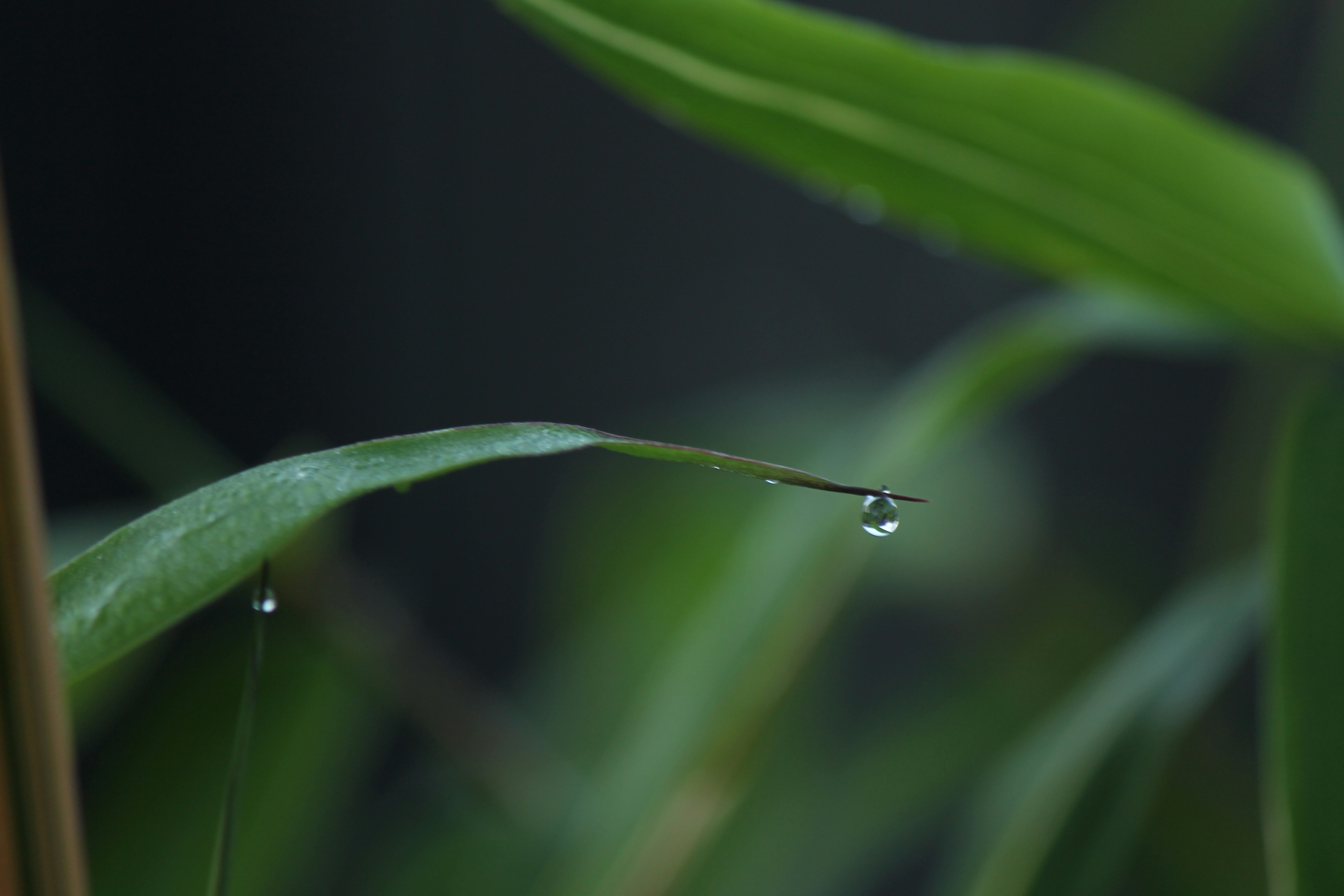 Photo by ellenartstudio