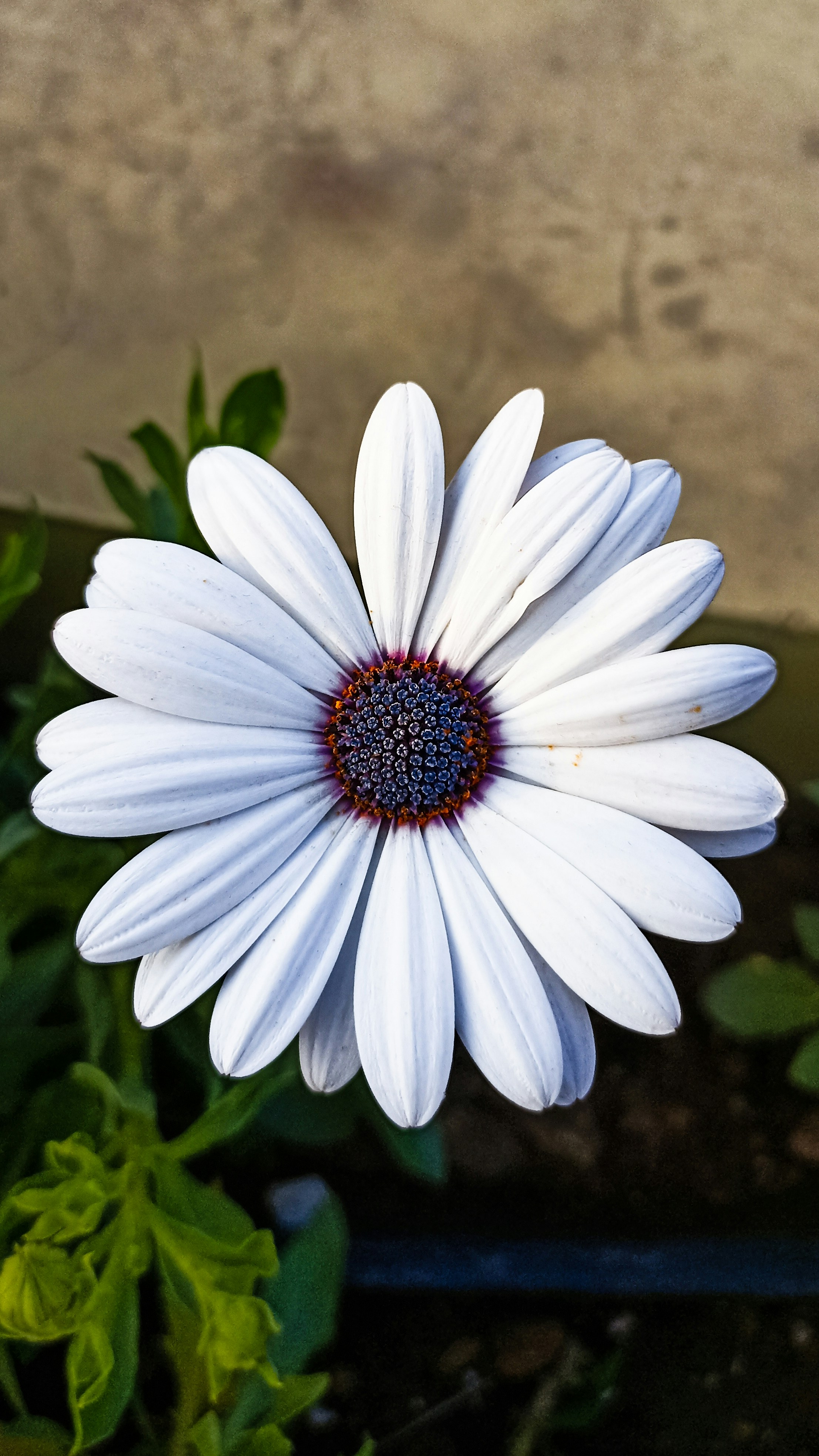 Photo by suhit_panchal