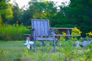 Rough-hewn wooden garden chair showing rugged texture next to vibrant flowers.