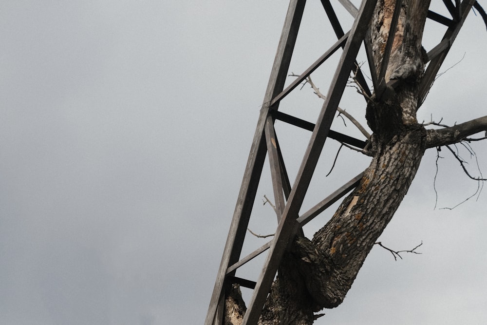 a bird perched on top of a wooden structure