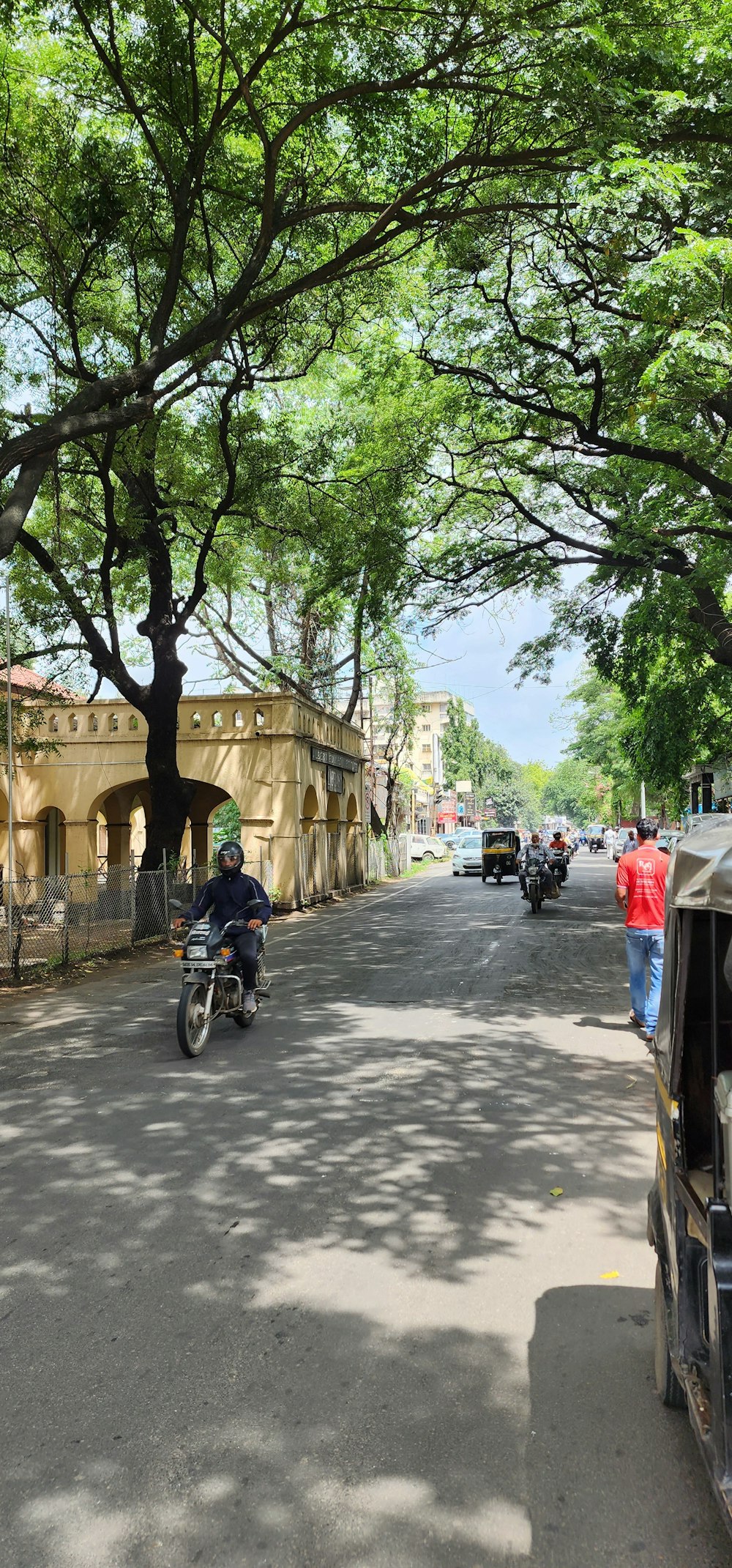 a man riding a motorcycle down a tree lined street