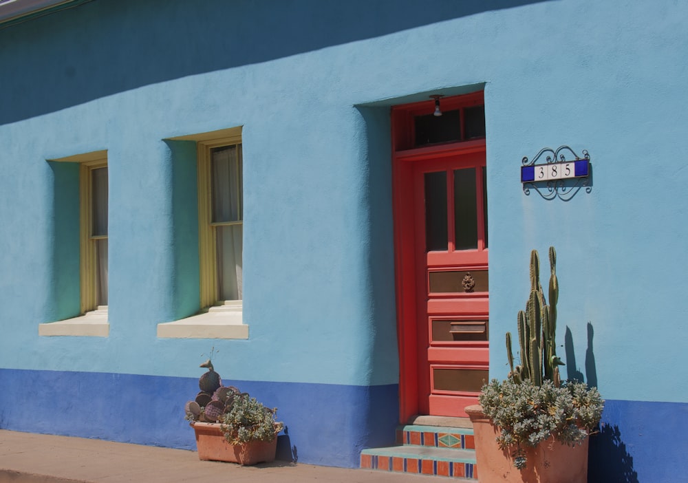 a blue building with a red door and a cactus in front of it