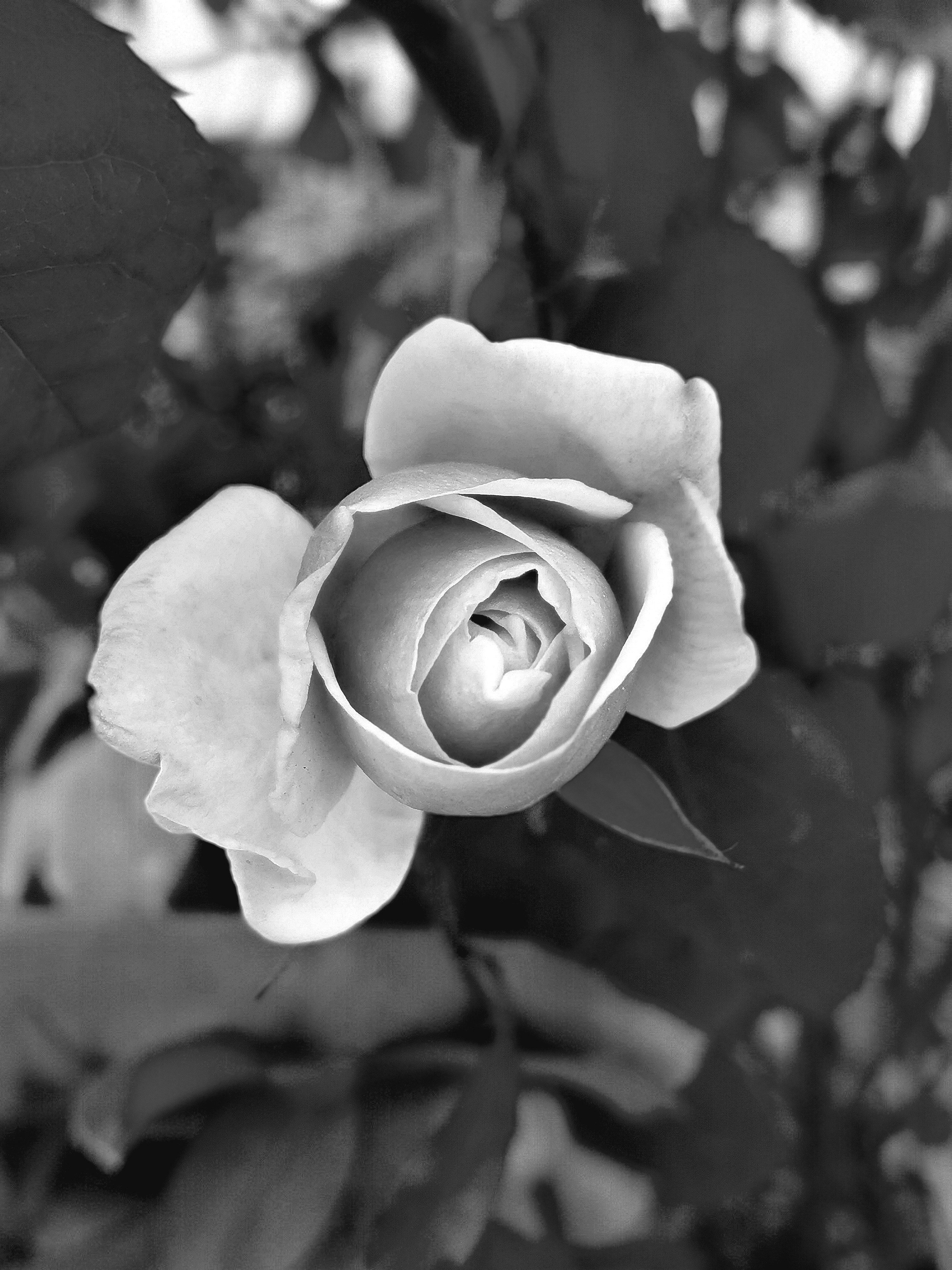 Photo by 4540133969hh