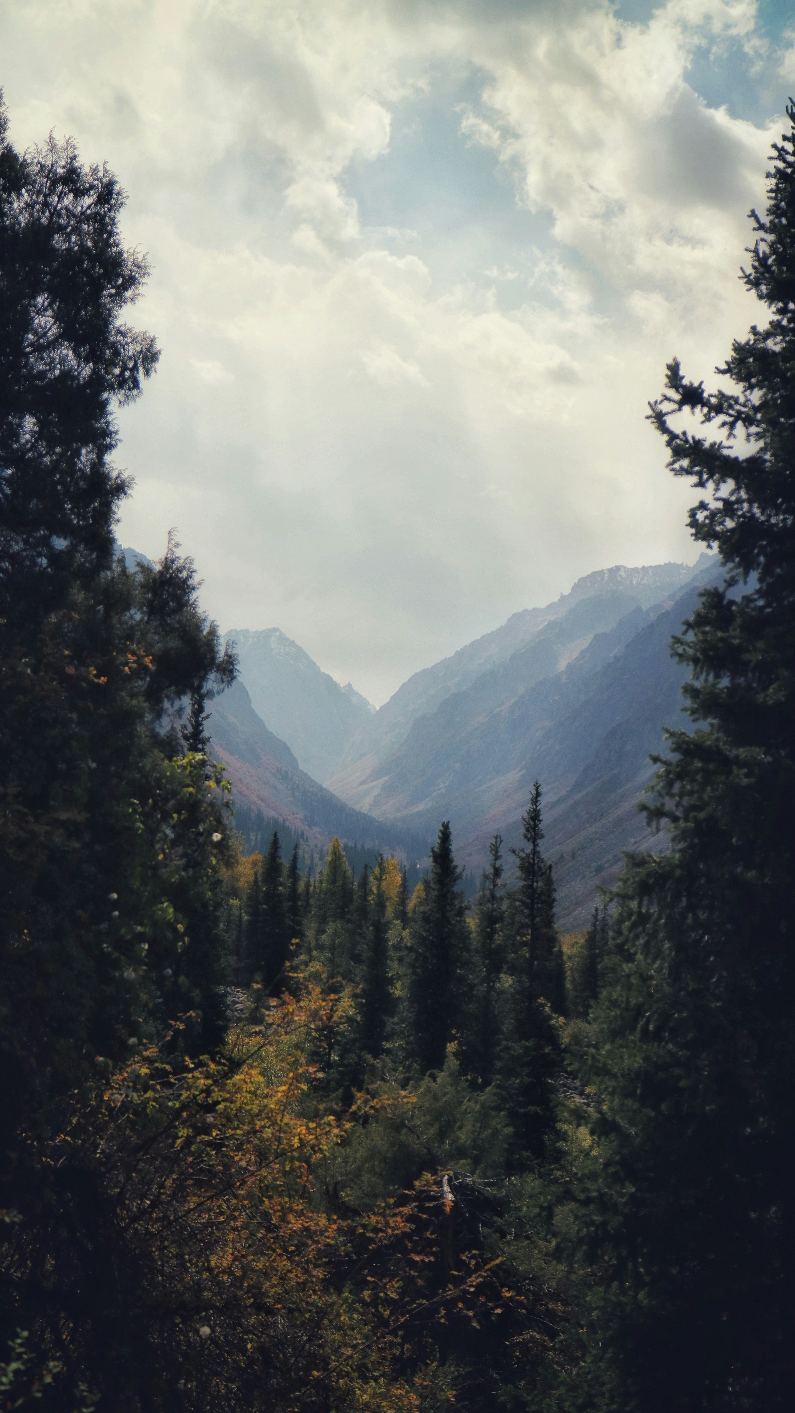 Photo by dsamatkulov