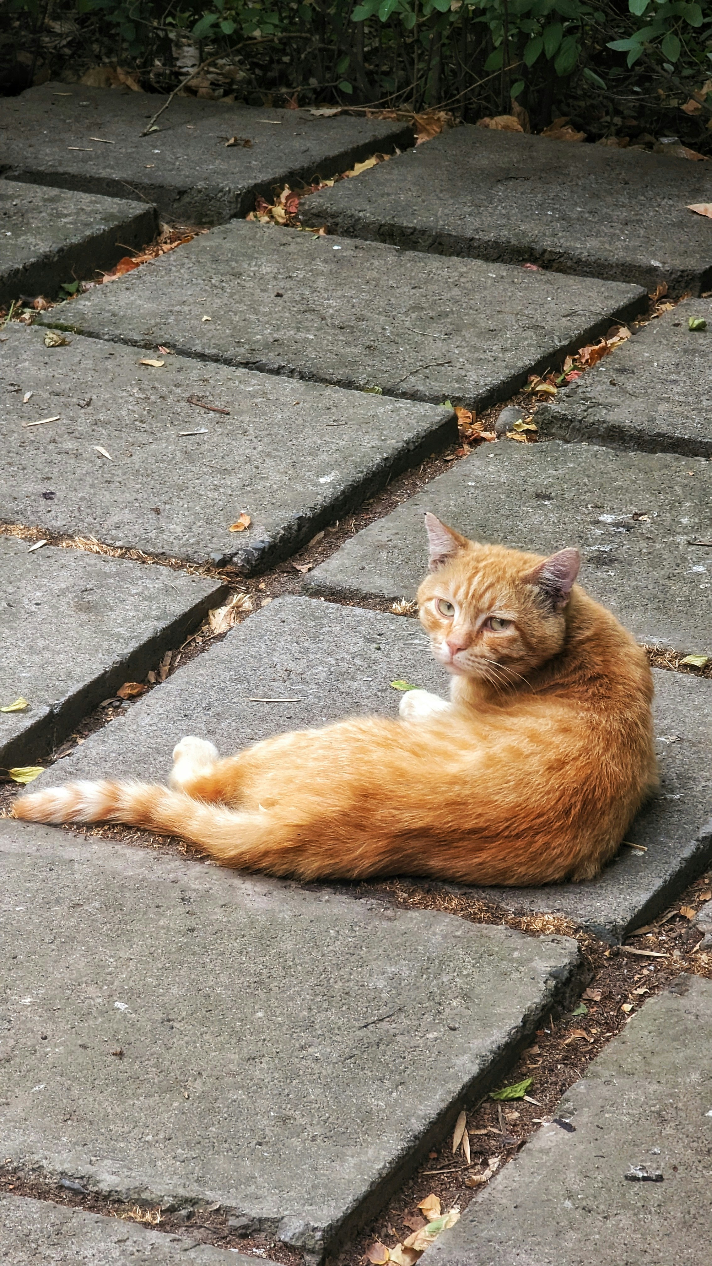 Photo by dsamatkulov