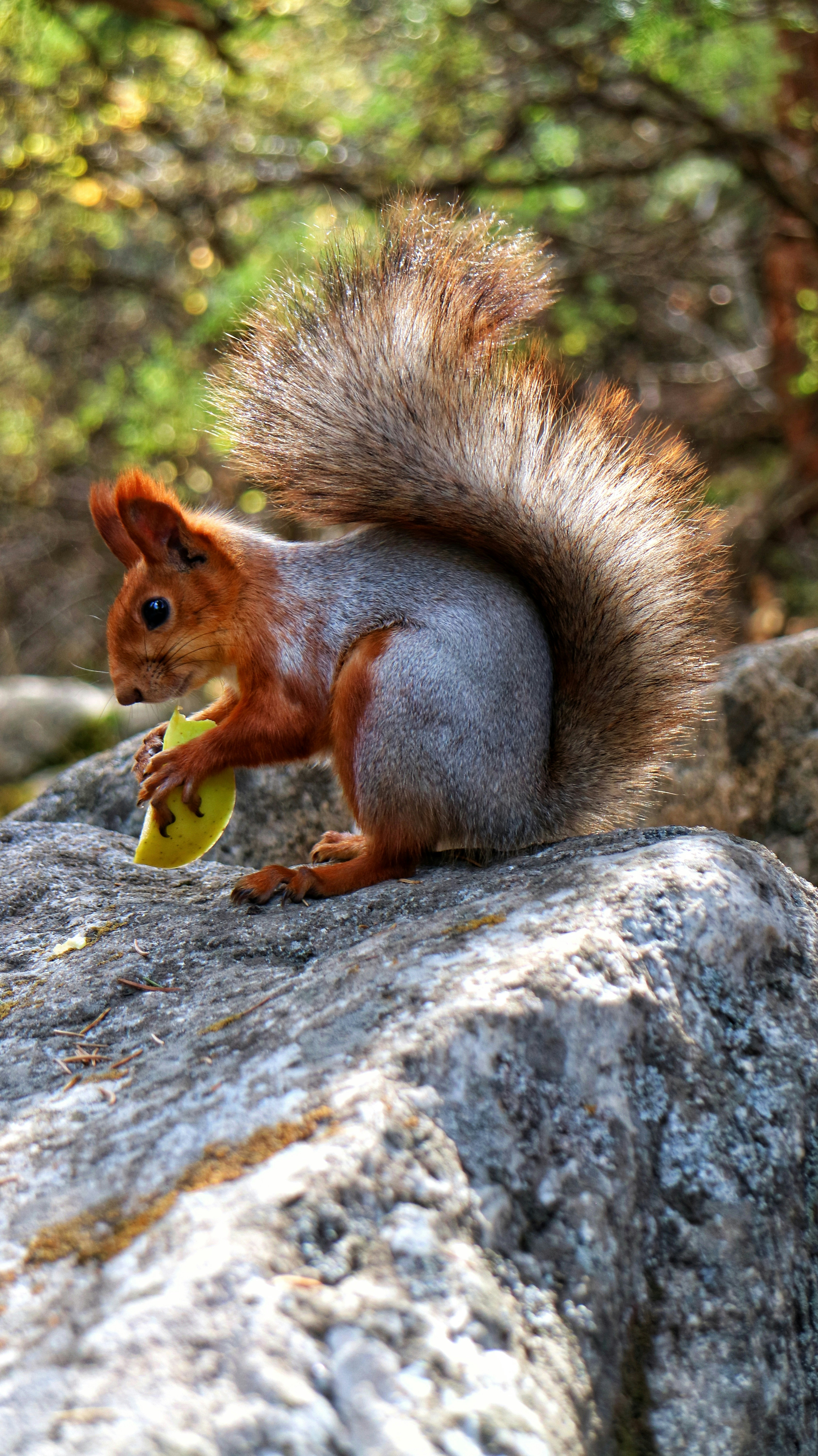 Photo by dsamatkulov