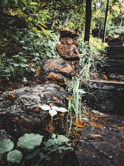 A stack of balanced stones is set against a backdrop of lush green foliage. Stone steps lead upwards, partially covered with moss and scattered leaves.