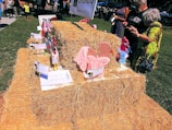 An organized poultry farm showcasing various bird species.