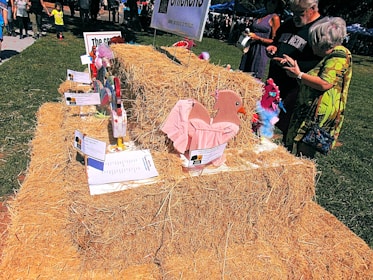 A vibrant display of finished designs laid out on a wooden table, capturing the essence of puppy & chicken, inc.