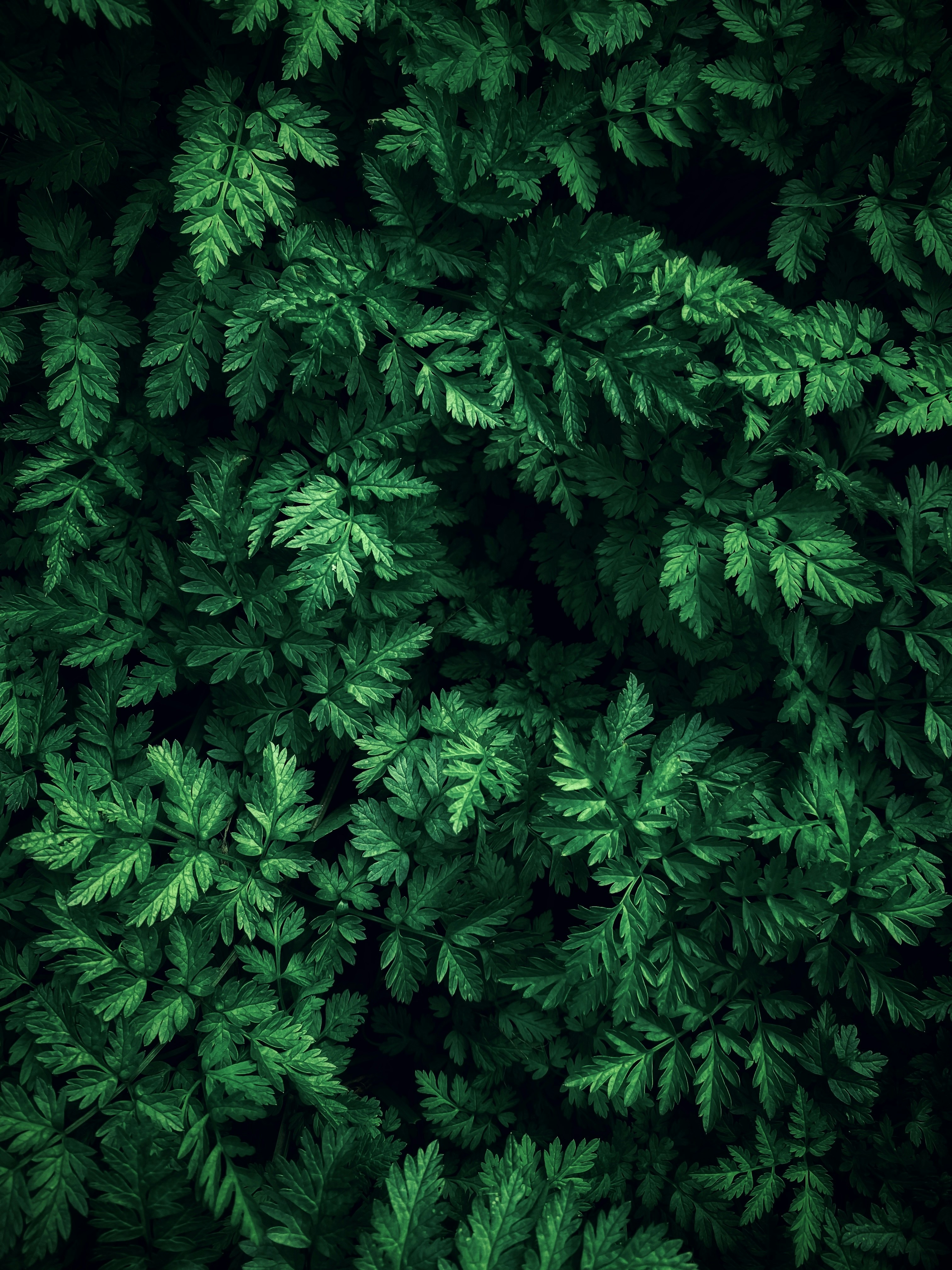 Photo by eugene_golovesov