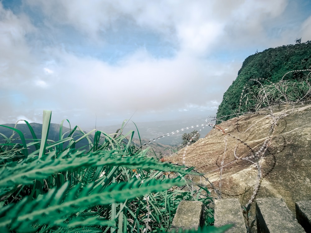 a view of a rocky cliff with barbed wire on it