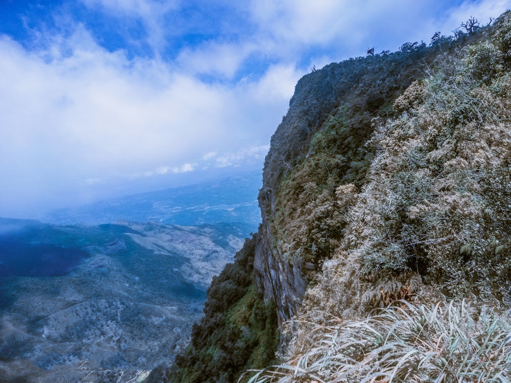 a view of a valley from a high point of view