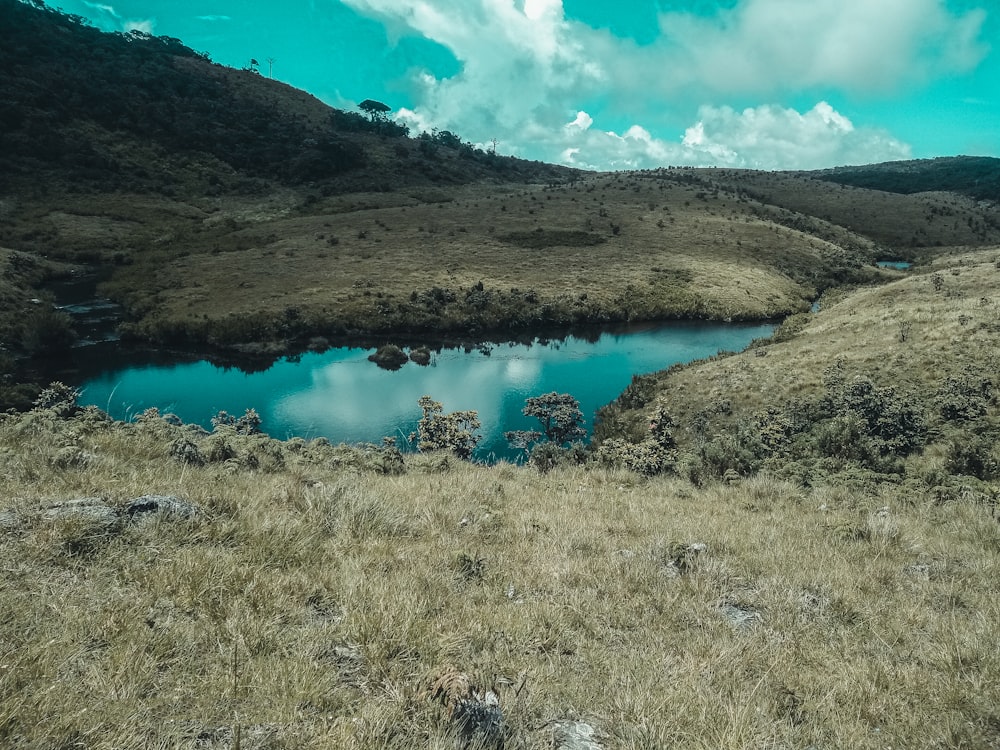 a small lake in the middle of a grassy field