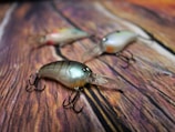 Three fishing lures are positioned on a wooden surface. The lures are detailed with shiny finishes and realistic features, including treble hooks. The surface has a distinct wood grain pattern in warm tones.