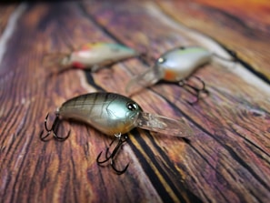 Three fishing lures are positioned on a wooden surface. The lures are detailed with shiny finishes and realistic features, including treble hooks. The surface has a distinct wood grain pattern in warm tones.