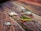 Five colorful fishing lures with multiple hooks are arranged on a wood-textured surface, displaying intricate details and varied color patterns.