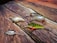 Five colorful fishing lures with multiple hooks are arranged on a wood-textured surface, displaying intricate details and varied color patterns.