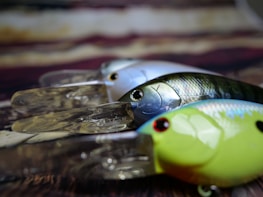 a couple of fish sitting on top of a wooden table