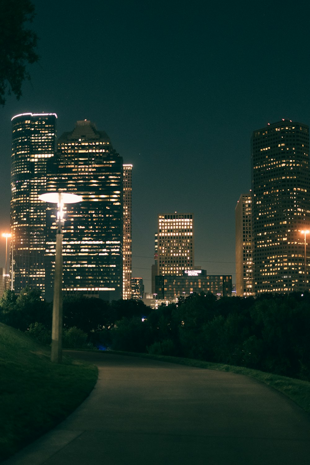 a view of a city at night from a park