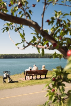 Three elderly people sit on a wooden park bench overlooking a tranquil lake, framed by branches with green leaves and red berries. The sky is clear and blue, and a stroller is parked nearby on the grass beside a paved pathway. Trees line the horizon across the water, adding to the serene landscape.