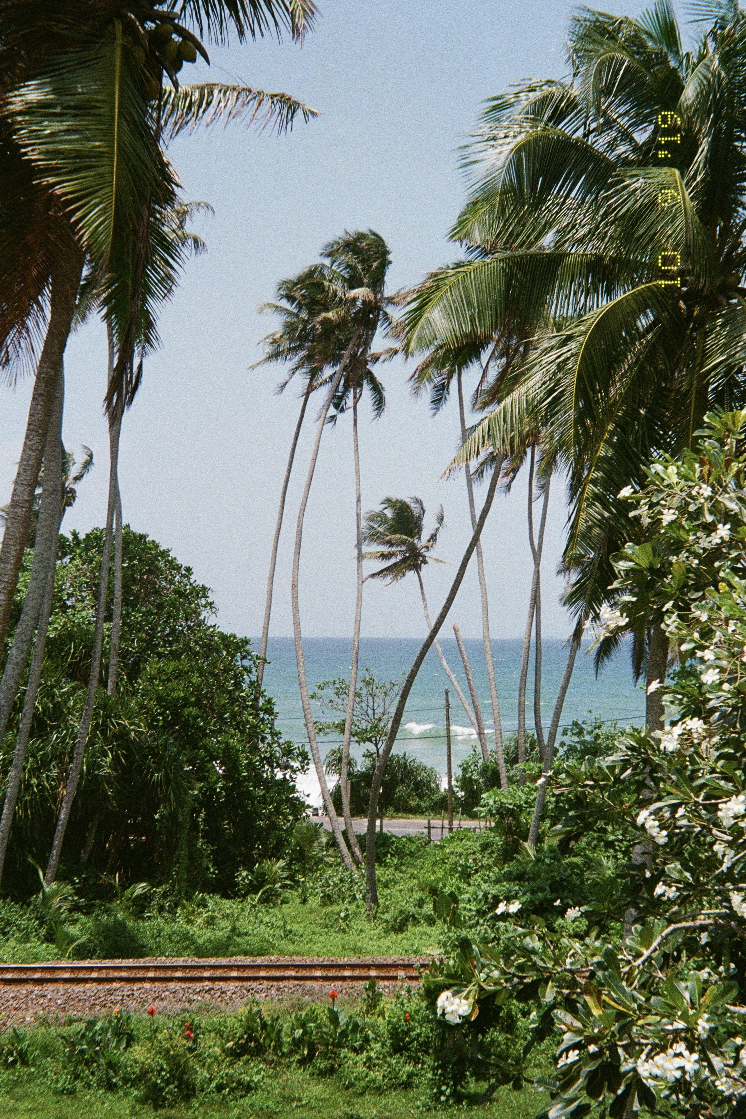 photo of British Indian Ocean Territory