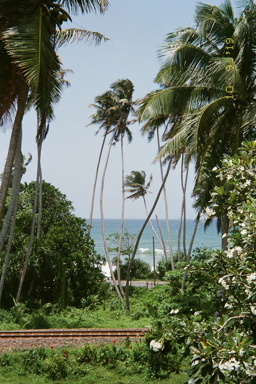 a view of a beach through palm trees