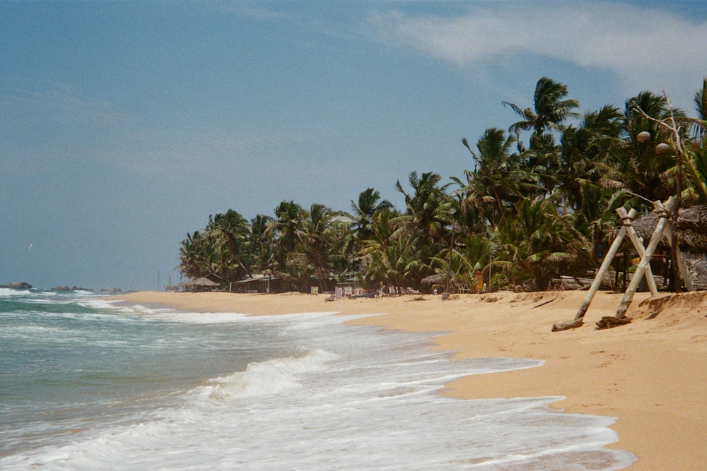 a sandy beach with palm trees and a boat in the water