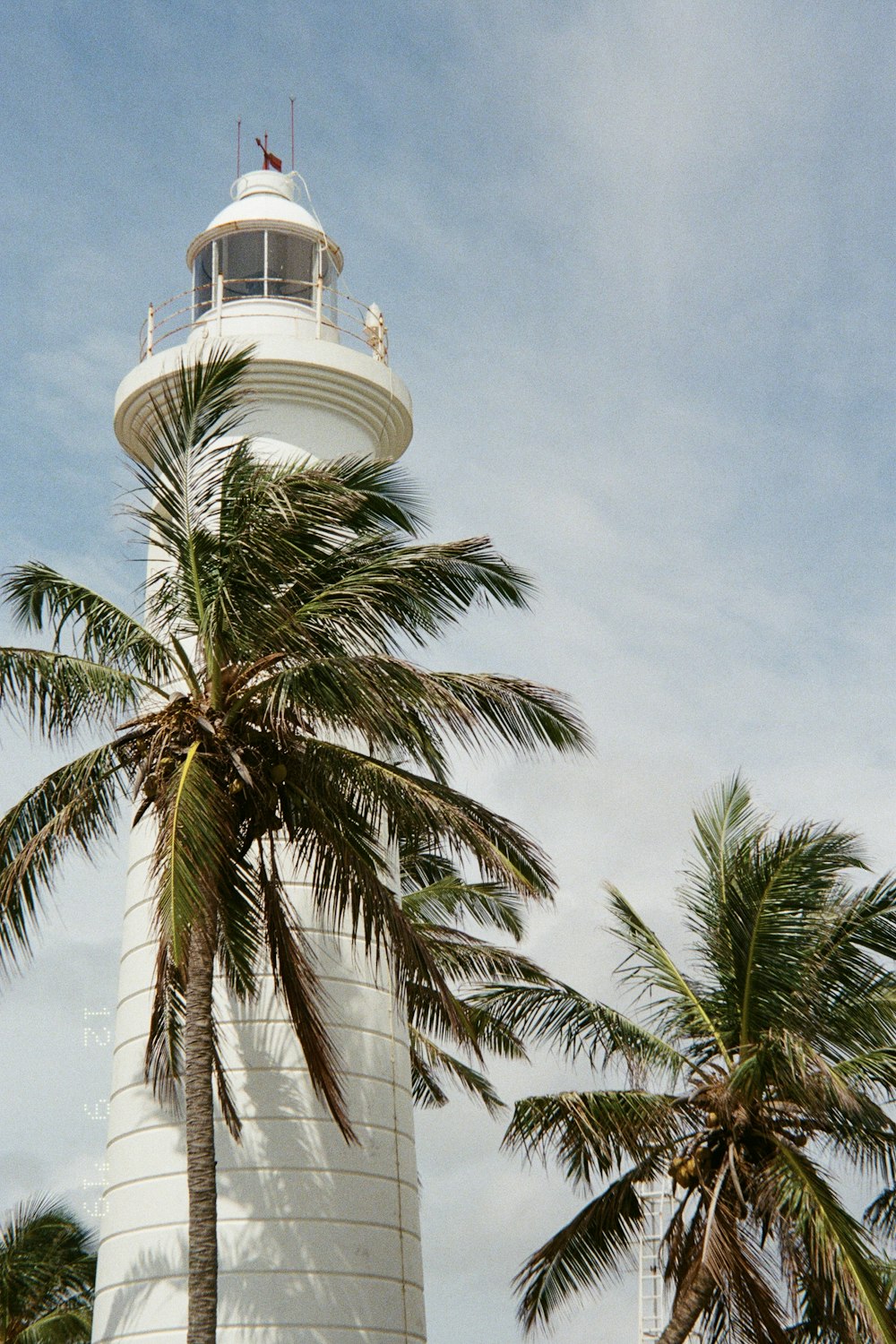 a white lighthouse with a palm tree in front of it