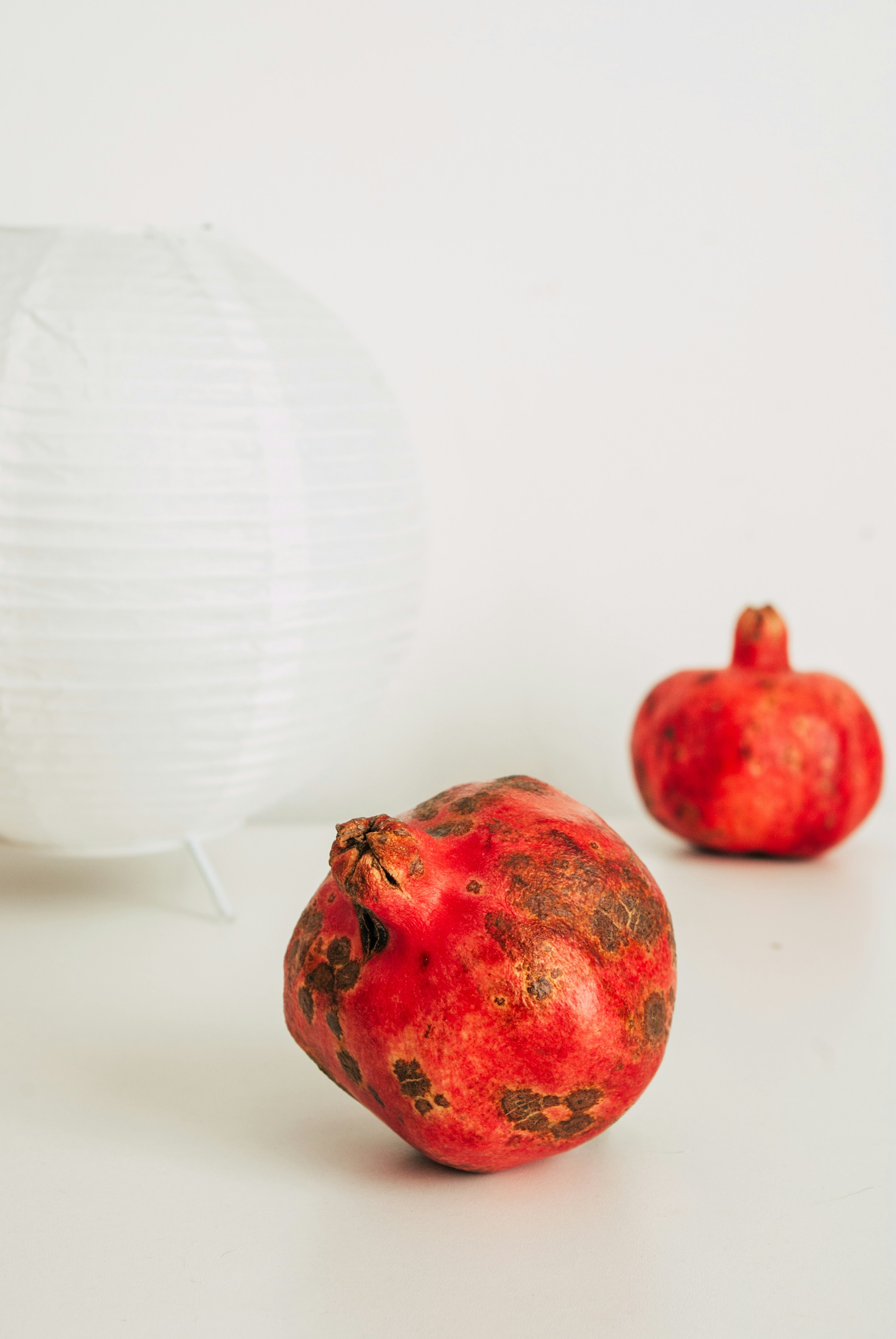 Photo by moonmoons_days