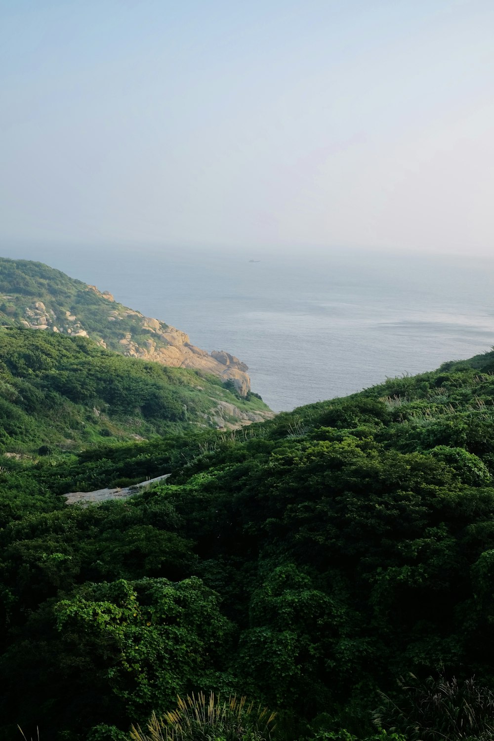 a scenic view of the ocean from a hill