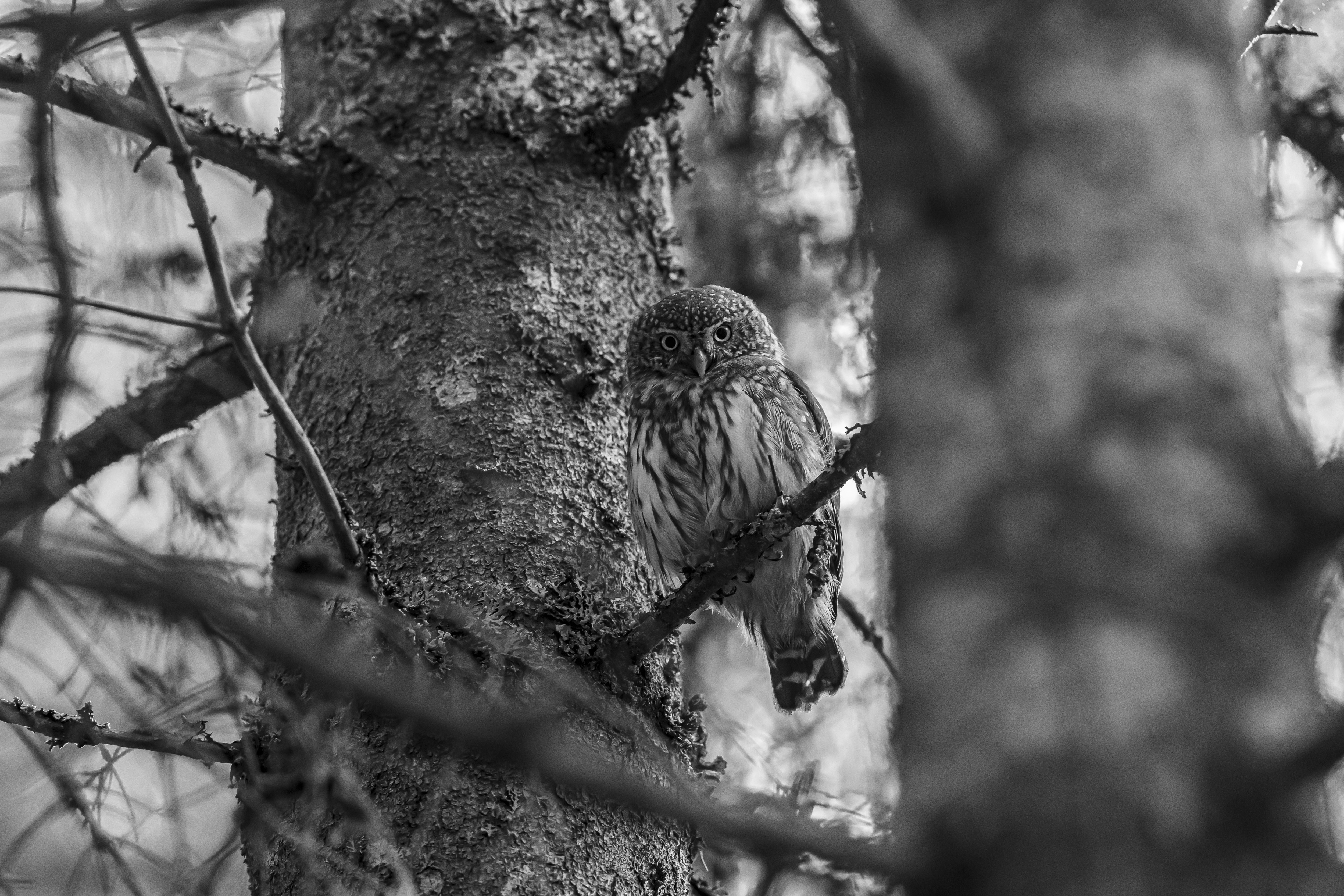 Photo by erik_karits