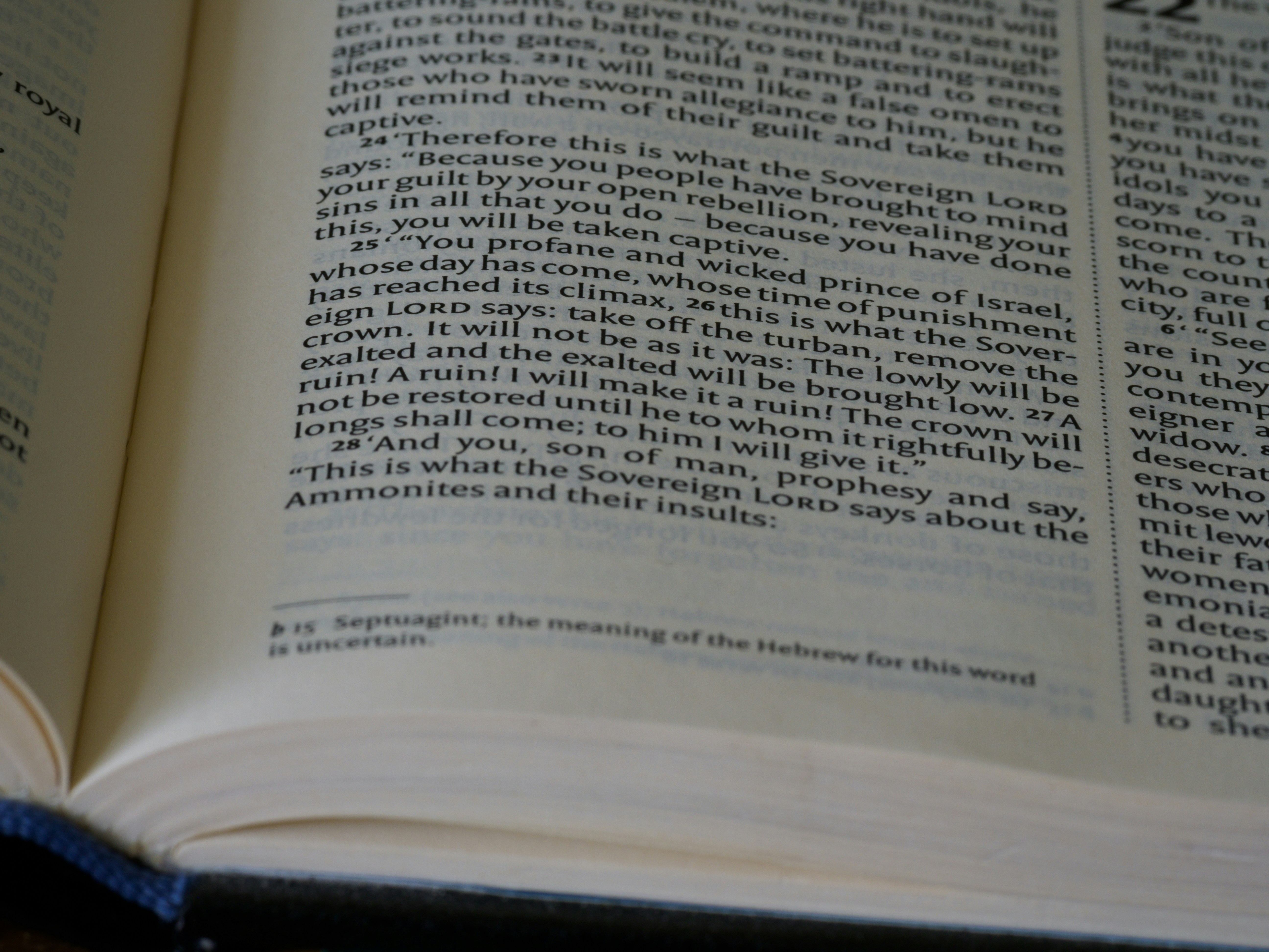 Photo by brett_jordan